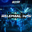 Helemaal Dush cover