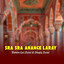 Unknown Title cover