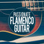 Passionate Flamenco Guitar cover