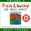 Praise & Worship for Small Groups (Whole Hearted Worship), Vol. 3 [Split Tracks] cover