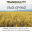 Fields Of Gold cover