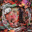 Flamingos and Finches cover