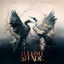 ILLUMISHADE