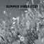 Summer Vibes 2021 (DJ Mix) cover