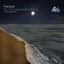 For You - Liquefaction Remix artwork
