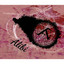 Alibi cover