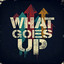 What Goes Up artwork