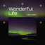 Julie Lancaster - Wonderful Peace