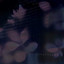 Cauê — Reprobation cover art