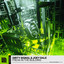 Freak In The Building - Extended Mix