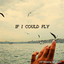 If I could fly
