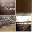 Walk by the Sea - Singing Birds for Spa, Ocean Sounds for Yoga & Meditation, Rain Sounds for Reiki, Wellness cover