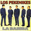 La Bamba cover