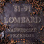 81-91. Największe przeboje (The Best) cover