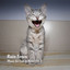 Rain Tones: Music for Cats to Relax Vol. 1 cover