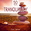 by Mr. Jonni - 44-Relaxation Hymns 2