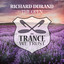 The Open - Extended Mix
