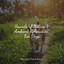 Sounds of Nature | Ambient Relaxation For Dogs cover