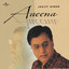 Aaeena cover