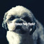 Puppy Palooza Party Playlist cover