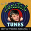 Best Of Twisted Tunes, Vol. 2 cover