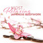 Most Relaxing Japanese Bodywork (Asian Massage Music, Shiatsu, Japanese Relaxation) cover