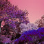 Saudade featuring JP Enfant - Ambient Mix