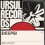 Deepsii feat. Sameh "SAZ" Zakout - Rina Remix