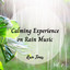 Rain Tones: Calming Experience on Rain Music Vol. 2 cover