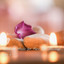 Ambient Music for Pure Spa Massage Vol. 1 cover