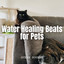Ocean Sounds: Water Healing Beats for Pets cover
