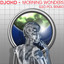 Morning wonders (Leo Pol Remix) DJOKO