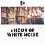 Static White Noise