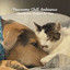 Pawsome Chill Ambiance: Thunderous Comfort for Pets cover