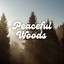 Sounds of Nature: Peaceful Woods cover