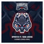 Flashback - Aurede Remix