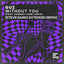 Without You (feat. Hannah Jane Lewis) - Steve Darko Extended Remix