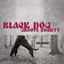 BLACK DOG GROOVE SOCIETY