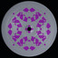 Modular Processed Data