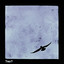 Crows cover