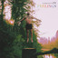 feelings cover