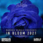 In Bloom 2021 cover