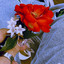 Unknown Title cover