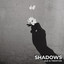 Shadows cover