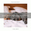Complex Weather Whispers Especially For Our Dogs cover