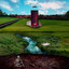 NOAH cover