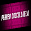 Perreo Cosculluela