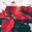 4 Relax: Sense of Christmas cover
