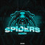 Spiders - Extended Mix