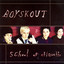 Boyskout profile